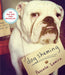 Dog Shaming 9780385349345 Pascale Lemire Brukte bøker