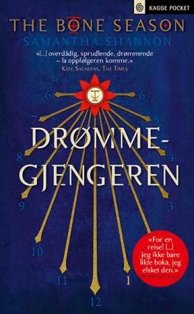 Drømmegjengeren 9788248914495 Samantha Shannon Brukte bøker