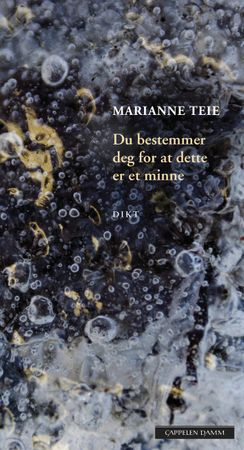 Du bestemmer deg for at dette er et minne 9788202546724 Marianne Teie Brukte bøker