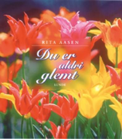 Du er aldri glemt 9788252047790 Rita Aasen Brukte bøker