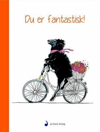 Du er fantastisk! 9788282054997  Brukte bøker