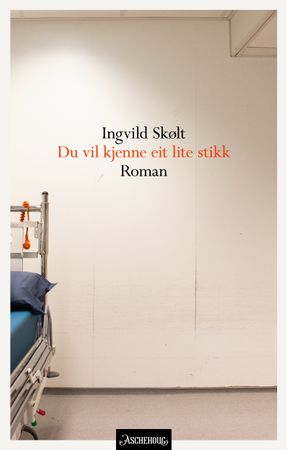 Du vil kjenne eit lite stikk 9788203455674 Ingvild Skølt Brukte bøker