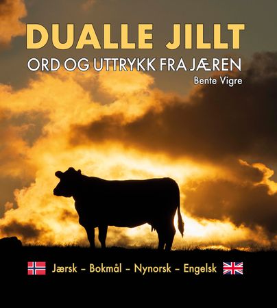 Dualle jillt 9788293715290 Bente Vigre Brukte bøker