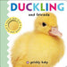 Duckling and Friends Touch and Feel 9780312522018 Roger Priddy Brukte bøker