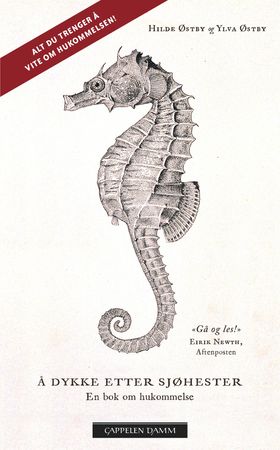 Å dykke etter sjøhester 9788202620431 Ylva Østby Hilde Østby Brukte bøker