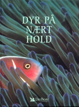 Dyr på nært hold 9788270103287  Brukte bøker