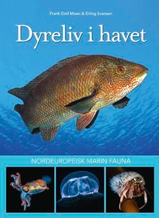 Dyreliv i havet 9788293191247 Frank Emil Moen Brukte bøker