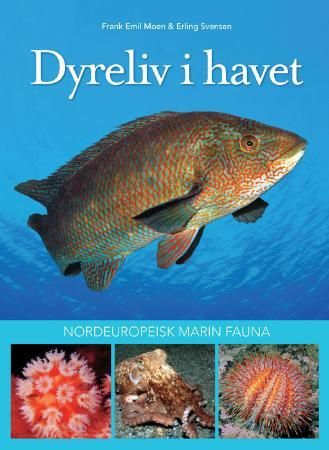 Dyreliv i havet 9788292496589 Frank Emil Moen Brukte bøker