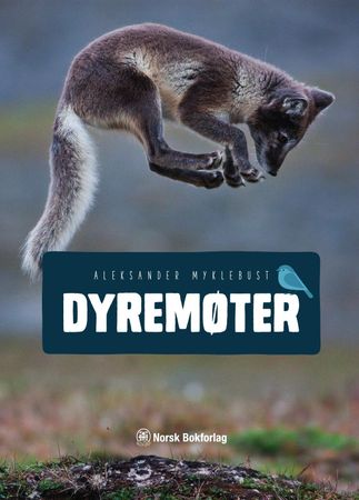 Dyremøter 9788270074457 Aleksander Myklebust Brukte bøker