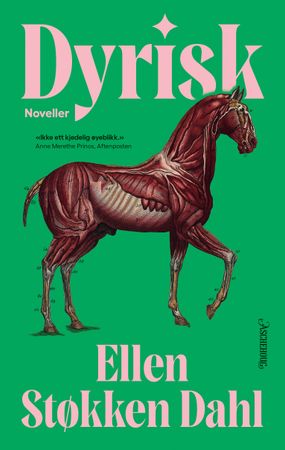 Dyrisk 9788203462108 Ellen Støkken Dahl Brukte bøker