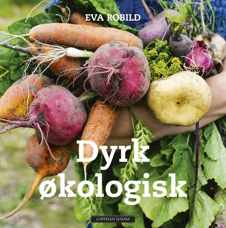 Dyrk økologisk 9788202615796 Eva Robild Brukte bøker