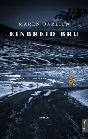 Einbreid bru 9788234009440 Maren Barlien Brukte bøker