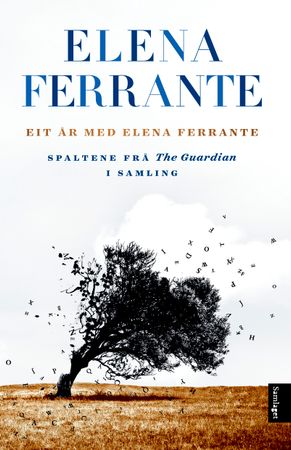 Eit år med Elena Ferrante 9788234001772 Elena Ferrante Brukte bøker