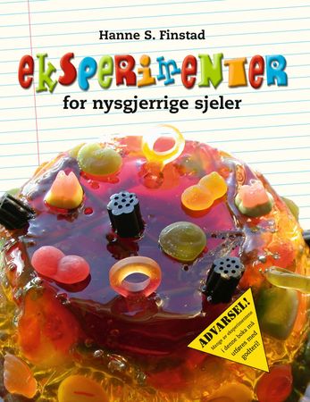 Eksperimenter for nysgjerrige sjeler 9788202232412 Hanne S. Finstad Brukte bøker