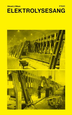 Elektrolysesang 9788282885744 Håvard J. Nilsen Brukte bøker