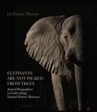 Elephants Are Not Picked from Trees 9788771242126 Liv Emma Thorsen Brukte bøker