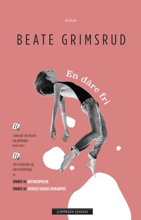 En dåre fri 9788202704339 Beate Grimsrud Brukte bøker
