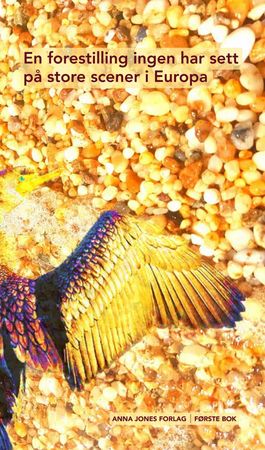 En forestilling ingen har sett på store scener i Europa 9788269324808 Guro Torhildsdatter Brukte bøker