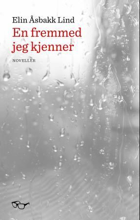 En fremmed jeg kjenner 9788293336013 Elin Åsbakk Lind Brukte bøker