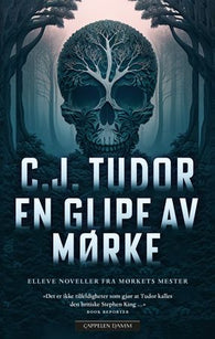 En glipe av mørke 9788202777173 C.J. Tudor Brukte bøker