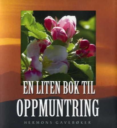 En liten bok til oppmuntring 9788230204610 Ben Alex Brukte bøker
