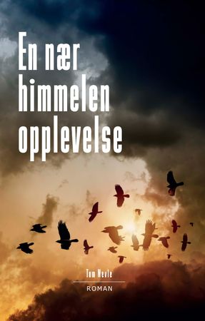 En nær himmelen opplevelse 9788282970532 Bjørn Grinde Brukte bøker