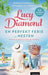 En perfekt ferie. Nesten 9788203368981 Lucy Diamond Brukte bøker