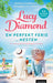 En perfekt ferie. Nesten 9788203397141 Lucy Diamond Brukte bøker
