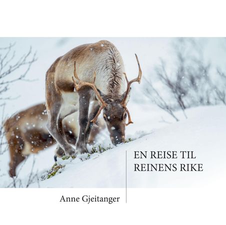 En reise til reinens rike 9788293246190 Anne Gjeitanger Brukte bøker