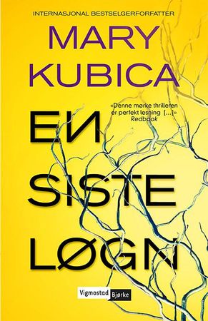 En siste løgn 9788241920523 Mary Kubica Brukte bøker