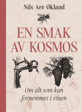 En smak av kosmos 9788234714429 Nils Are Økland Brukte bøker