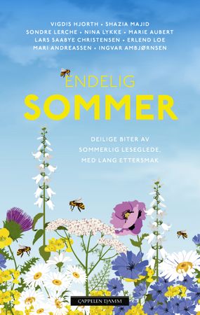Endelig sommer 9788202703165 Shazia Majid Nina Lykke Ingvar Ambjørnsen Vigdis Hjorth Mari Andreassen Erlend Loe Lars Saabye Christensen Sondre Lerche Marie Aubert Brukte bøker
