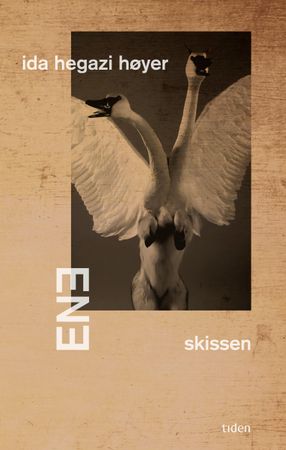 Ene | skissen 9788210056024 Ida Hegazi Høyer Brukte bøker