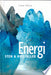 Energi 9788702033830 Lone Hertz Brukte bøker