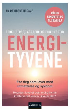 Energityvene 9788203452024 Lars Dehli Torkil Berge Elin Fjerstad Brukte bøker