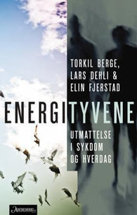 Energityvene 9788203293979 Elin Fjerstad Torkil Berge Lars Dehli Brukte bøker