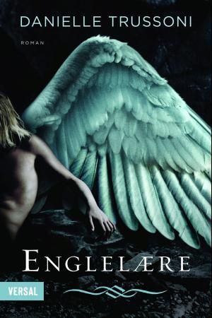 Englelære 9788281880764 Danielle Trussoni Brukte bøker