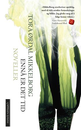 Ennå er det tid 9788202529581 Tora Ørdal Mikkelborg Brukte bøker