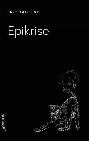 Epikrise 9788203265877 Marit Daaland Lesjø Brukte bøker