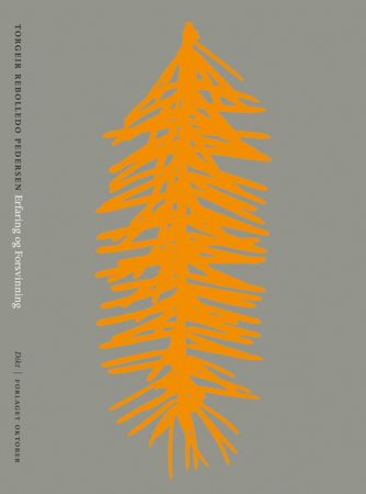 Erfaring og forsvinning 9788249506279 Torgeir Rebolledo Pedersen Brukte bøker