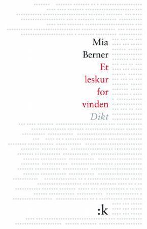 Et leskur for vinden 9788205403826 Mia Berner Brukte bøker