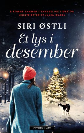 Et lys i desember 9788202849917 Siri Østli Brukte bøker