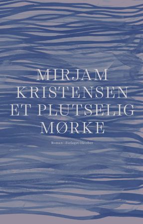 Et plutselig mørke 9788249522644 Mirjam Kristensen Brukte bøker