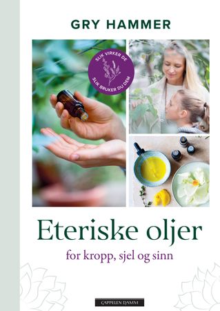 Eteriske oljer for kropp, sjel og sinn 9788202610784 Gry Hammer Brukte bøker