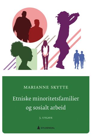 Etniske minoritetsfamilier og sosialt arbeid 9788205500952 Marianne Skytte Brukte bøker