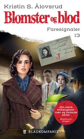 Faresignaler 9788284131818 Kristin S. Ålovsrud Brukte bøker