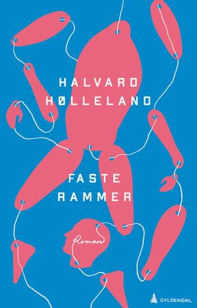 Faste rammer 9788205533349 Halvard Hølleland Brukte bøker