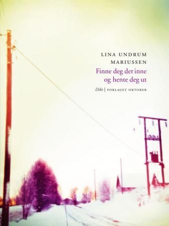Finne deg der inne og hente deg ut 9788249508419 Lina Undrum Mariussen Brukte bøker