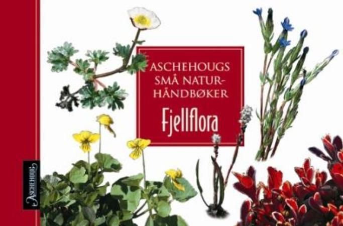 Fjellflora 9788203233470 Tore Fonstad Brukte bøker