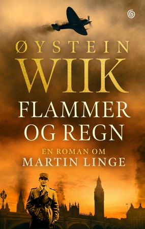 Flammer og regn 9788248929949 Øystein Wiik Brukte bøker